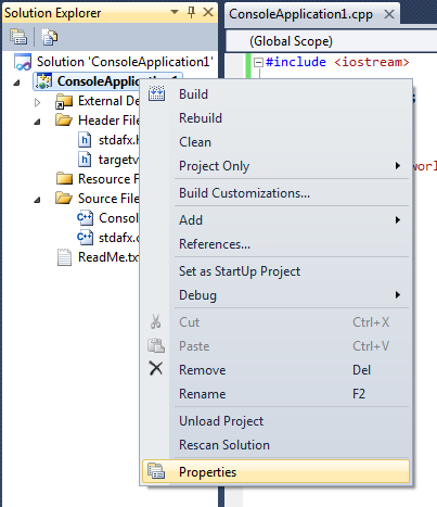 The project's context menu as seen in the Solution Explorer pane.